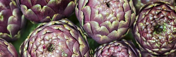 Artichoke