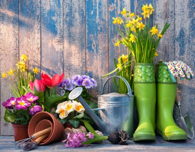 An image of wellington boots, flowers and pots to represent gardening