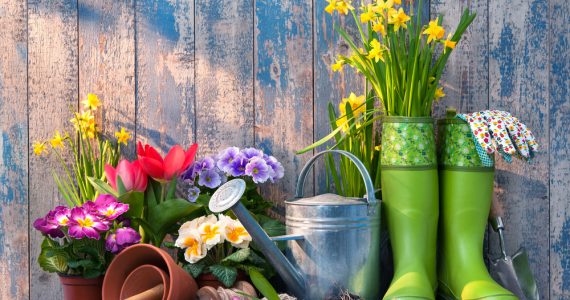 An image of wellington boots, flowers and pots to represent gardening