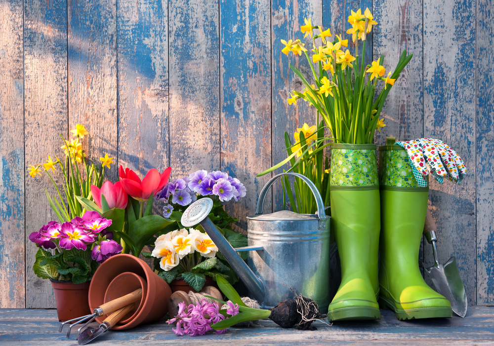 An image of wellington boots, flowers and pots to represent gardening
