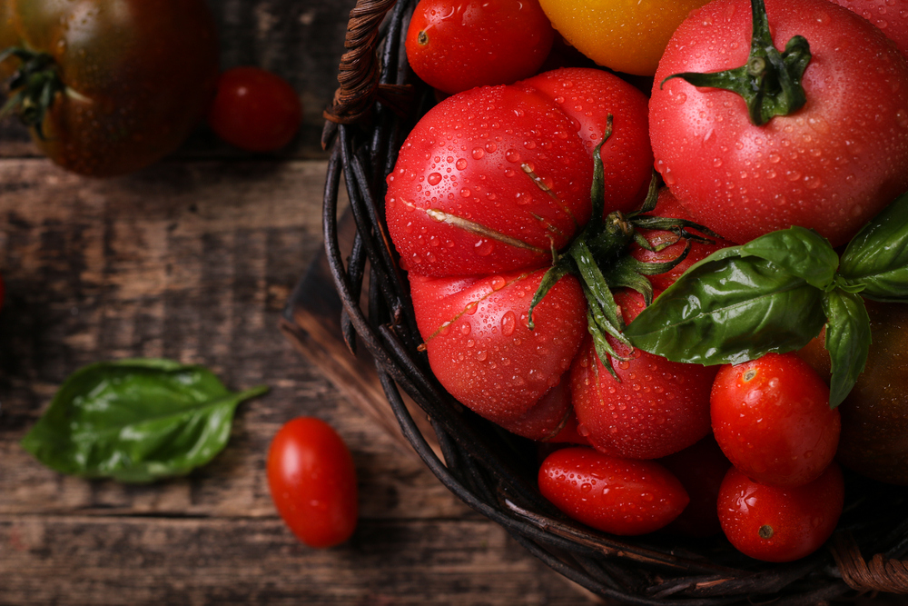 Close up of a bowl of tomatoes