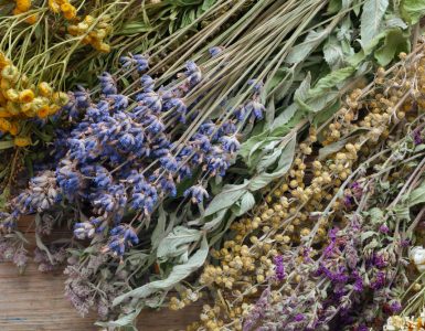 A range of dried flowers and herbs