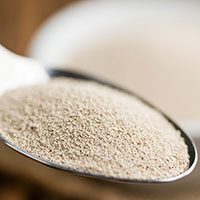 brewers yeast