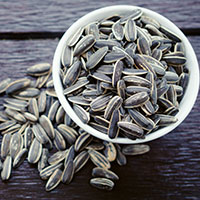 sunflower seeds