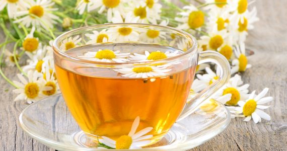 CLose up of a cup of camomile tea surrounded by camomile flowers