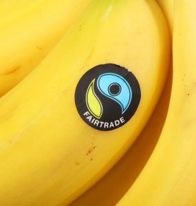 Close up of a bunch of bananas with the fair trade sticker on