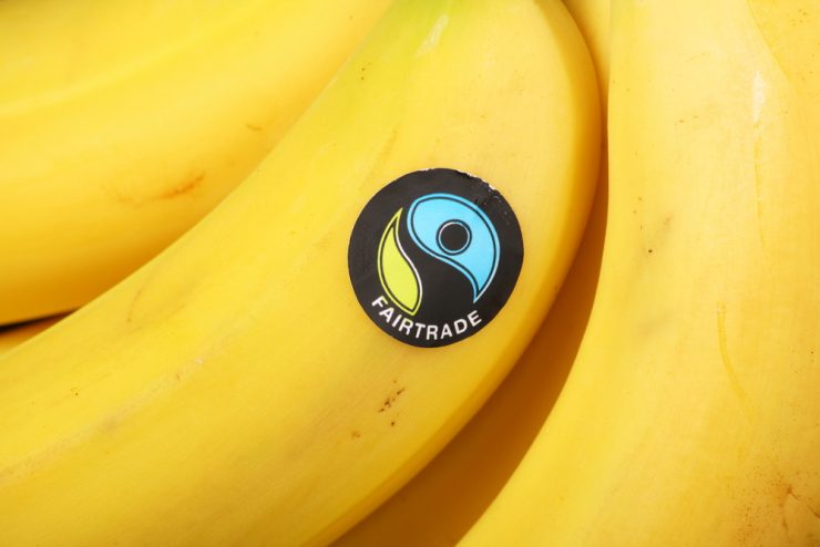Close up of a bunch of bananas with the fair trade sticker on