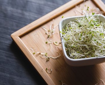 Alfalfa sprouts in a white bowl on a wooden board background