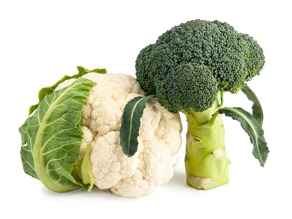 Brassica vegetables broccoli and cauliflower