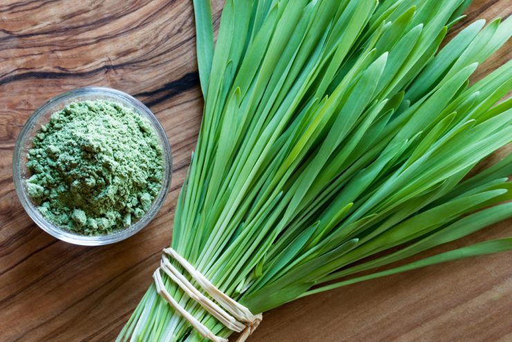 A bunch of fresh Barley Grass and Barley Grass powder on a wooden board