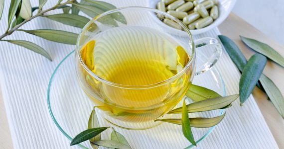Olive leaf extract and olive leaves showing natural medicine