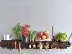 A range of fruits and vegetables on soil to represent organic food