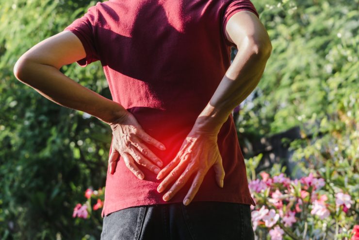 Close up of woman's back representing a gardening injury