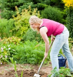 Woman digging garden plot with spade
