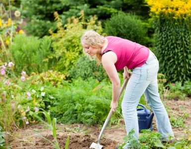 Woman digging garden plot with spade