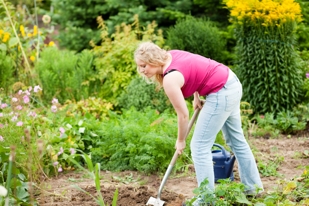 Woman digging garden plot with spade