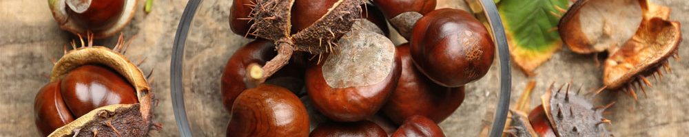 A bowl of horse chestnuts