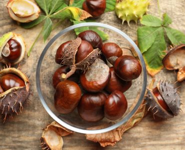 A bowl of horse chestnuts