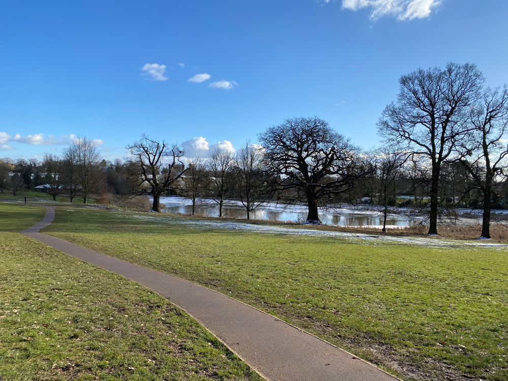 Image of a parkland with bue sky in winter