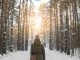 Woman taking a winter walk in snowy woodland