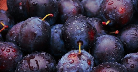 A close up of lots of plums