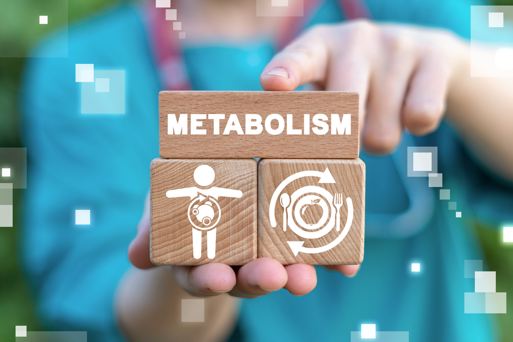 Graphic representing metabolism