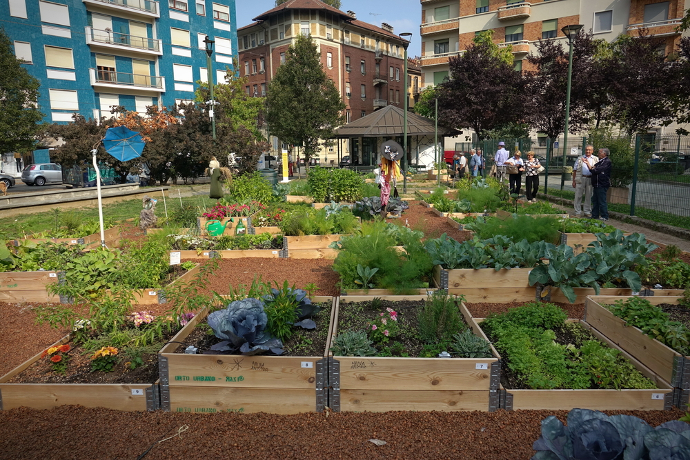 A city garden project