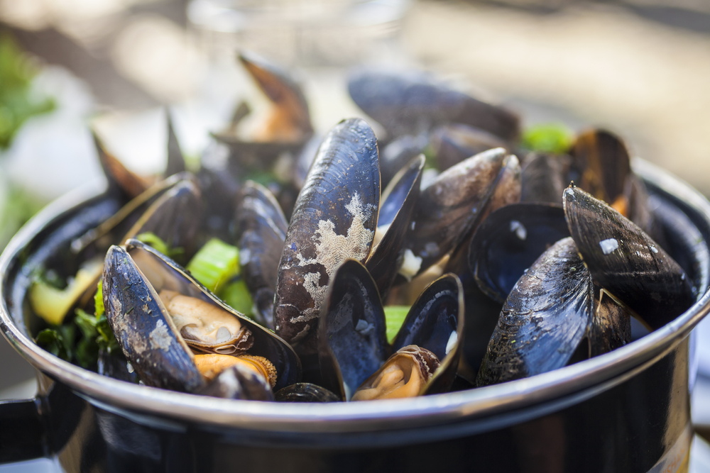 Moules mariniere dish of mussels